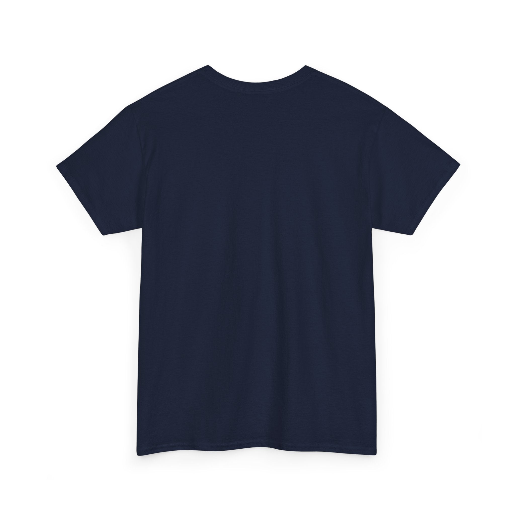 Basic White T-Shirt — Plain Cotton Tee