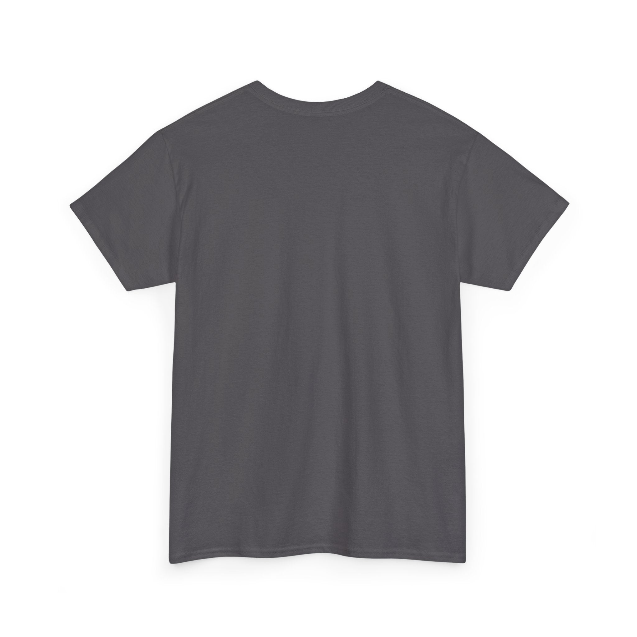 Basic White T-Shirt — Plain Cotton Tee