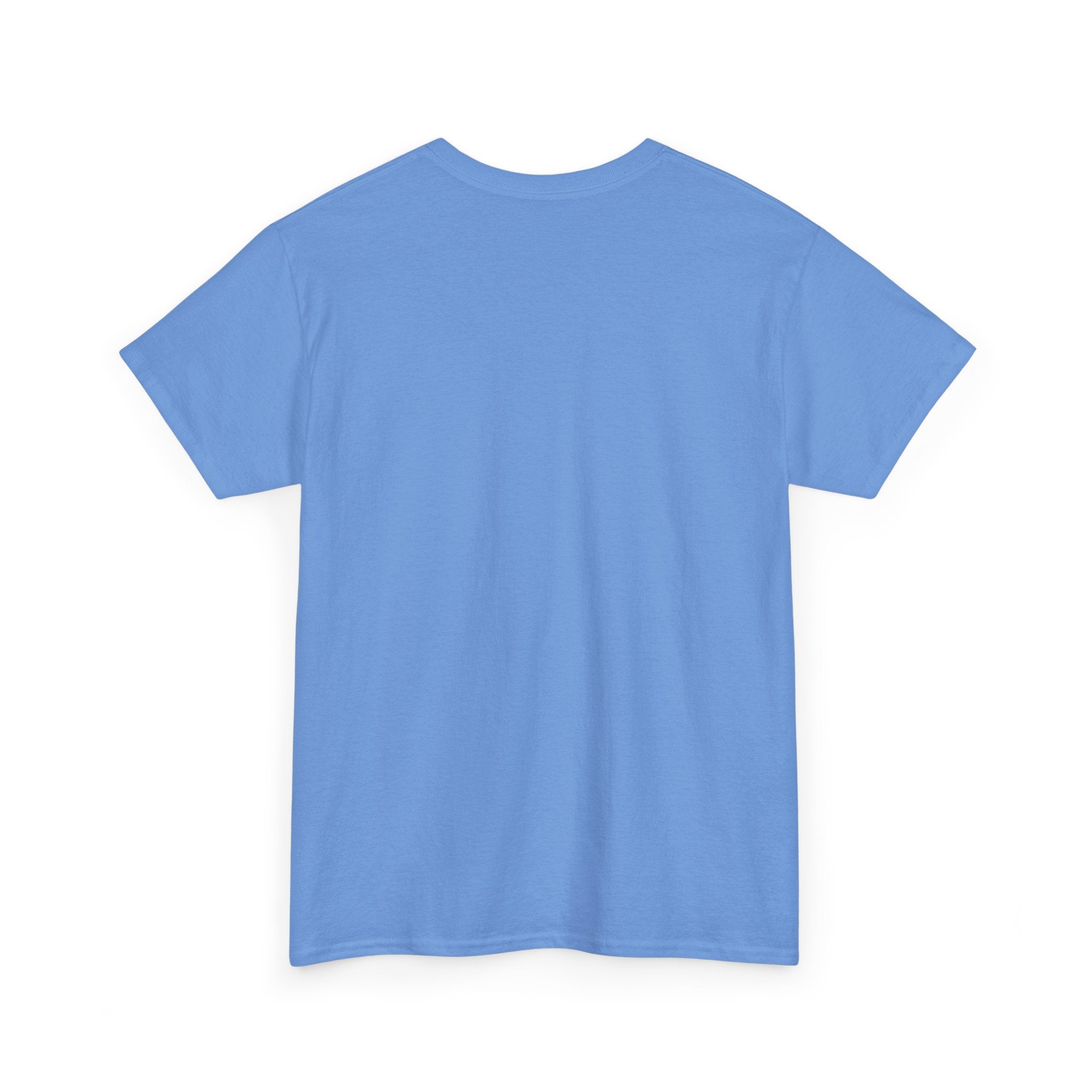 Basic White T-Shirt — Plain Cotton Tee