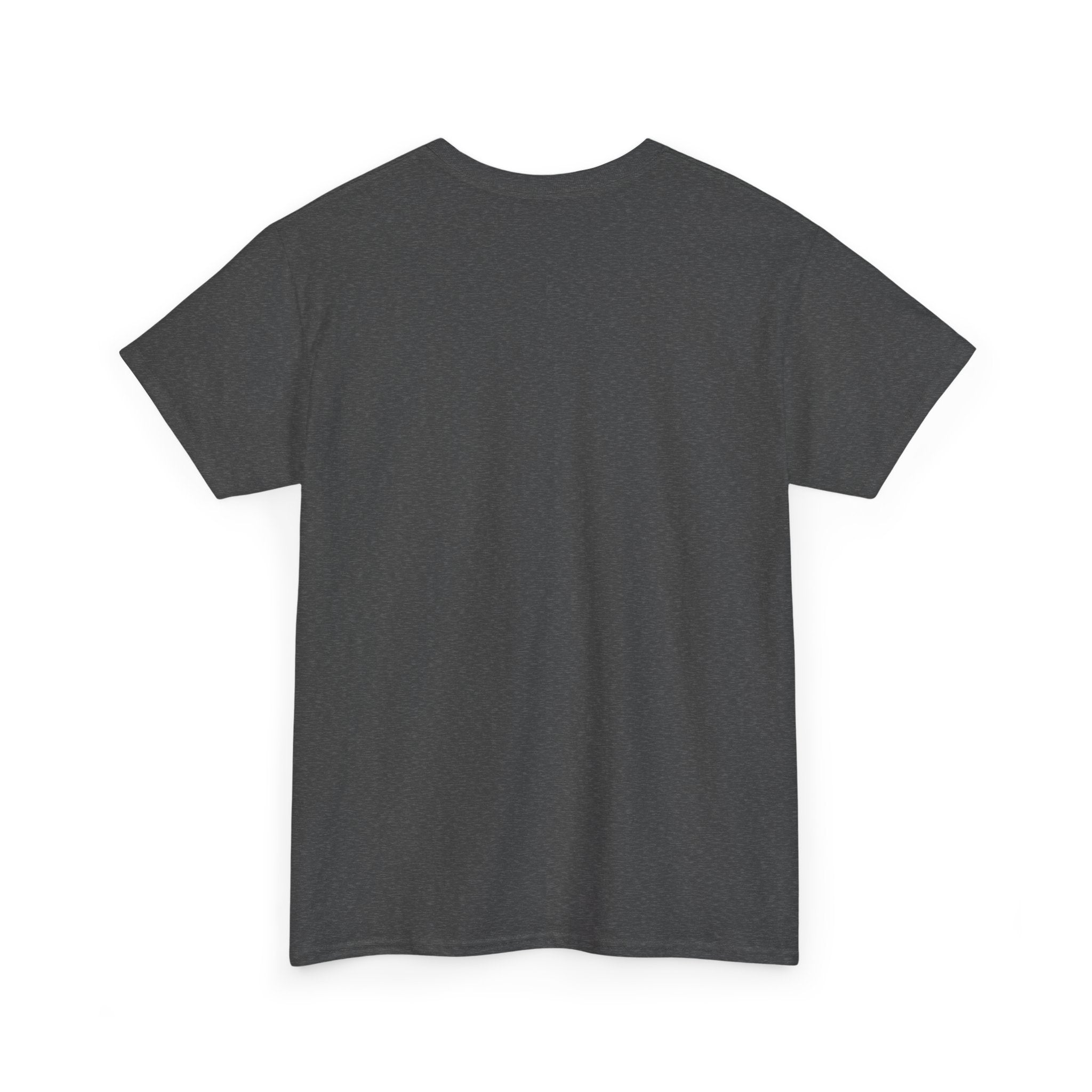 Basic White T-Shirt — Plain Cotton Tee