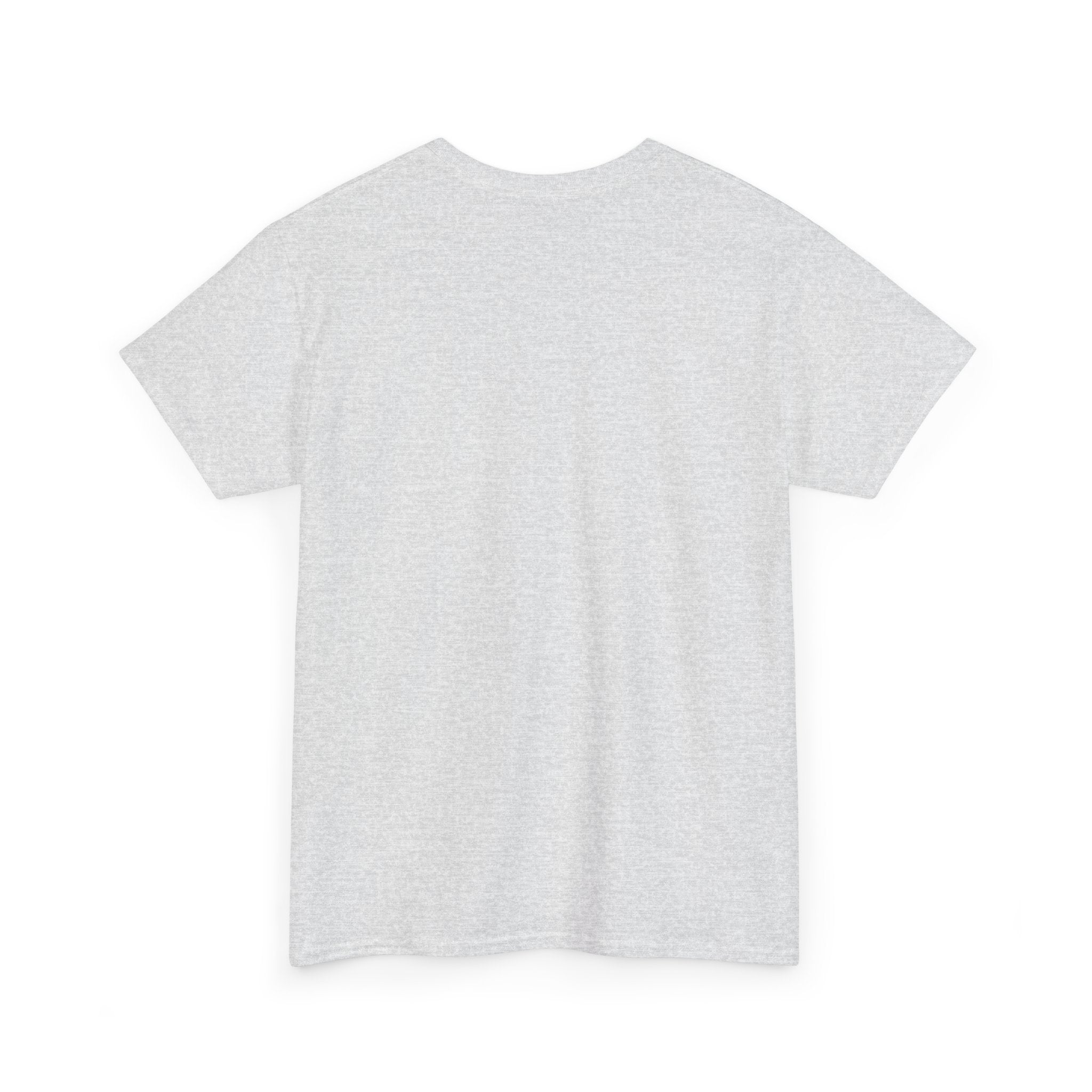 Basic White T-Shirt — Plain Cotton Tee