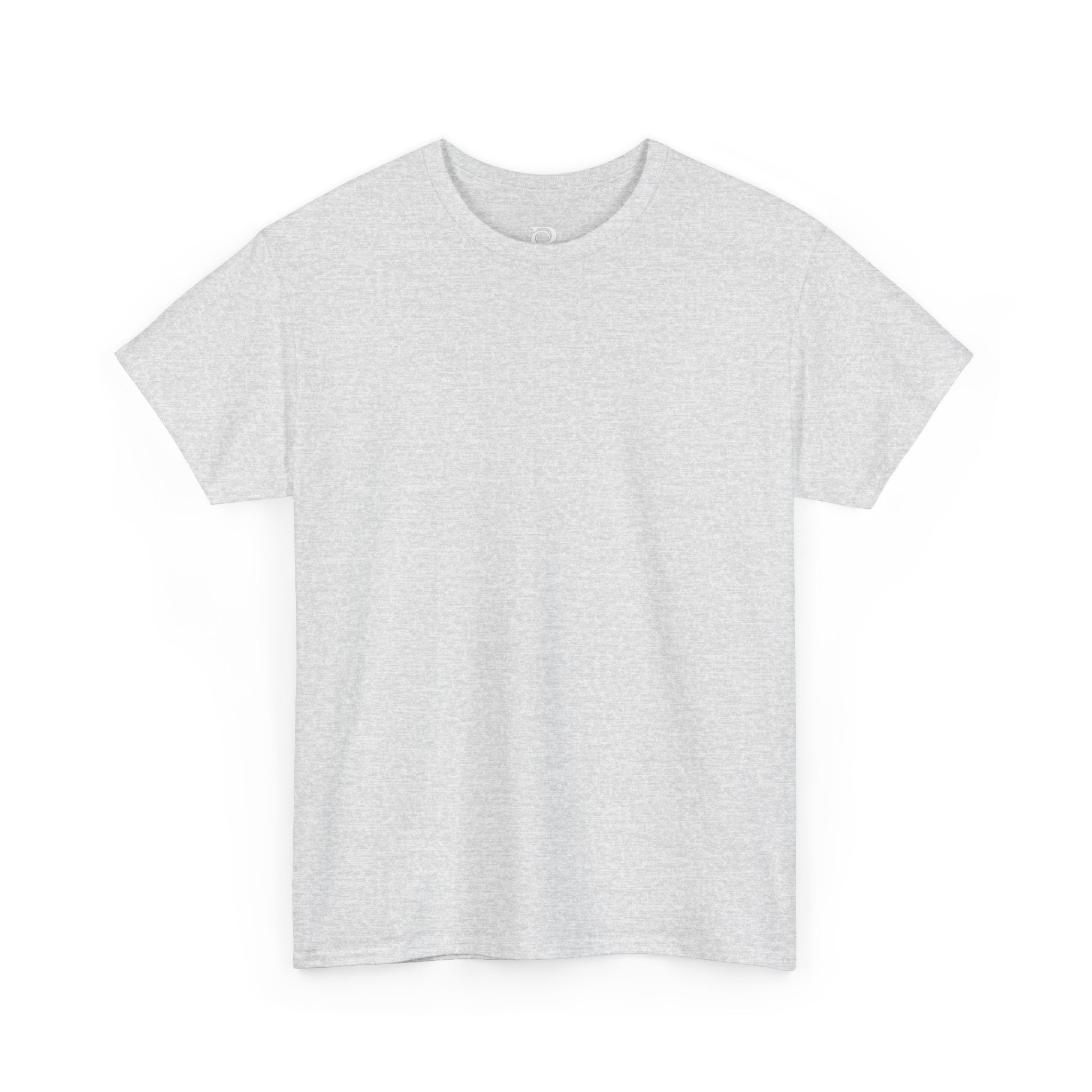 Basic White T-Shirt — Plain Cotton Tee